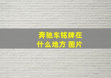 奔驰车铭牌在什么地方 图片